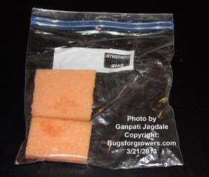 Entomopathogenic nematodes are sold in sponges