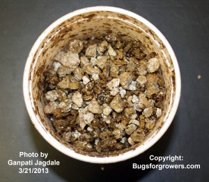 Entompathogenic nematodes are commercially available in granule formulations